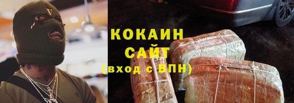 эйфоретик Арсеньев