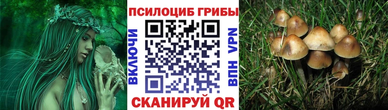 Галлюциногенные грибы мицелий Протвино